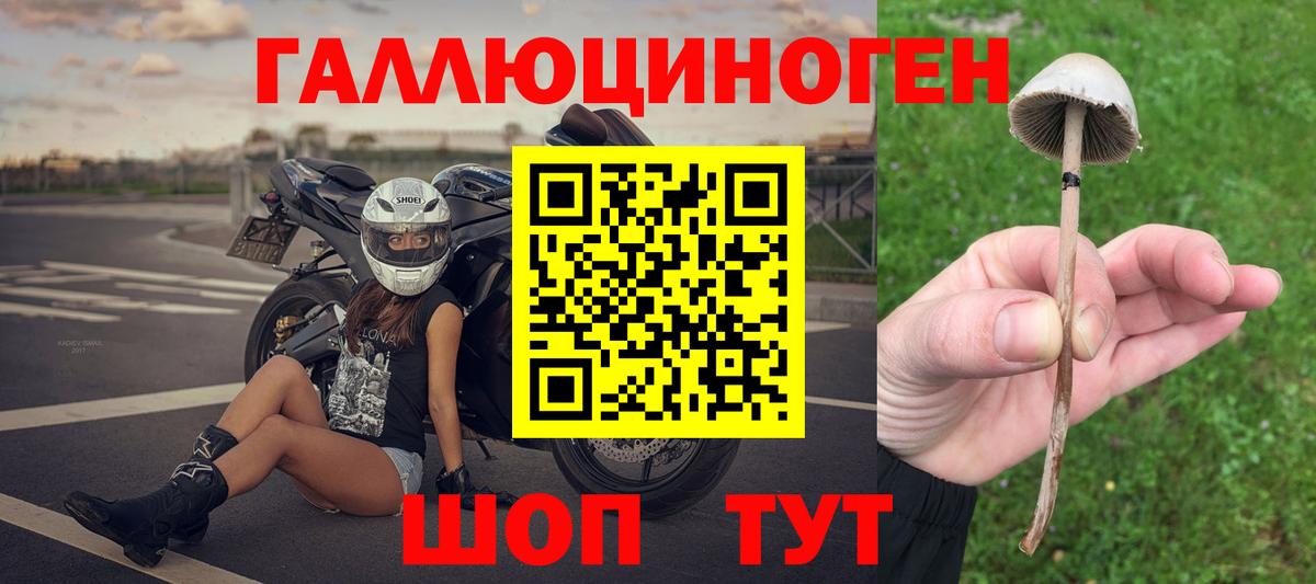 Псилоцибиновые грибы GOLDEN TEACHER  Вход с VPN  Старая Купавна  Псилоцибиновые грибы Psilocybine cubensis 